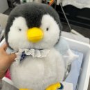 더윤네일 | 전포왁싱 내돈내산 더윤 속뉸썹왁싱전문 서면브라질리언왁싱 잘하는곳 안아프고 진정관리까지 확실한 내...