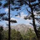 인제캠핑타운 이미지