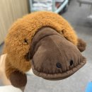 세강정형외과의원 네이버블로그
