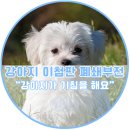 어울림동물메디컬센터 이미지