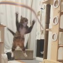 우리덤프 이미지