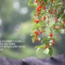 행복한 공부