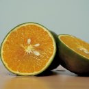 노닐다민박 이미지