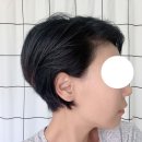 Tina헤어