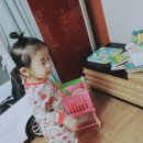 셔니츄 이미지