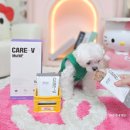 하이독 | 강아지 화식 하이독 케어브이 멀티프 노령견 후기