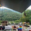 원동포시즌 | 양산 원동 포시즌M 캠핑장 A2,A3 사이트 이용후기