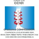 썬폴라코리아 이미지