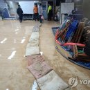 월평3동행정복지센터 이미지