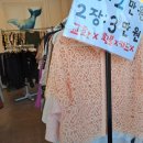 365빈티지 이미지