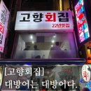 고향횟집 | [#고독한 최집사] 영등포 내돈내산 후기 / 고향횟집편