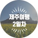 미크라트 | [제주여행] 2일차 (산방산유채꽃단지/사일리커피/호정이네/미크라트카페/한림수협위판장/새별별하숙소)