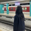4박 5일 오사카 대박 잼있다