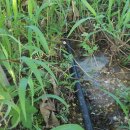 덕곡농장 이미지