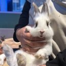 상장기지 | [인천 곤충체험]월미도 아이랑 추천_인천와일드벅스4살,6살 방문 후기(주차, 요금,체험정보)