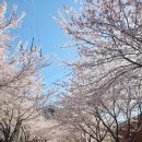 삼리2길 이미지