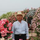 장미공원B 이미지