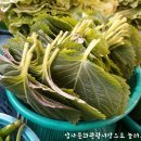 이성열야채 네이버블로그