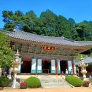 바울농장 이미지