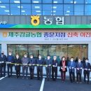 제주감귤농업협동조합중문지점 이미지