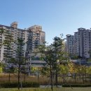 삼호우체국 이미지