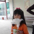 죠이랜드 이미지