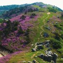 한빛렌트카 이미지