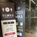 삼각카클리닉 | 압구정 미용실 코코미카 주형쌤 시그니처 여자 긴머리 코미펌 + 뿌리펌