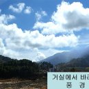 강산애 이미지
