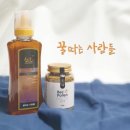 꿀따는사람들