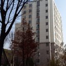 강남-214 이미지