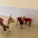 춘이네 멍치원 이미지