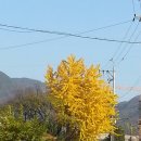 모화2리 이미지