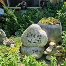 오대산내고향민박