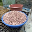 풍년농장 이미지