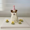 댕스잇 | 수성구애견수제간식) 울집 댕댕이와 똑 닮은 강아지입체케이크집 &#39;댕스투유&#39;