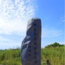 680차 08/14 매봉산(태백) 바람의 언덕(야생화) 산행예약 이미지