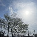 옥과도서관 | 전남곡성 출강가능한 공방, 옥과도서관 인센스(죽향) 만들기