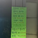 고운이네 - 경주시 원화로281번길 11 | 고운이네