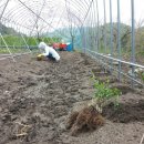 관수농장 이미지