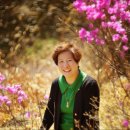 새누리목장 이미지