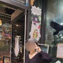 캣 | 송도 실내동물원, 고양이카페테이블에이 앤 로우캣 방문 후기 (종합권 25,000원)