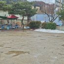 채남칼국수앞 이미지