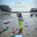 용신어촌계체험휴양마을 | 태안갯벌 체험 용신어촌체험마을 시간 &amp; 갈음이해수욕장 태안아이와가볼만한곳