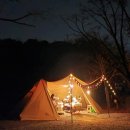 숲속의안뜰 이미지