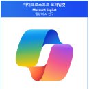 코파일럿 이미지