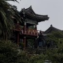 대정읍 상모리 3325-2 | [제주 여행 2일차] 산방산·송악산부터 돈내코까지, 흐린 날 더 인상 깊었던 하루 🌲
