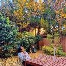 완산-110 | 전주 한옥마을 110년 감성 대가족 한옥 숙소 독채 호텔 추천