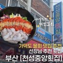 천성카 | [부산] 가덕도 물회 맛집 추천 | 천성항 주변 횟집 | 천성중앙횟집 물회 후기
