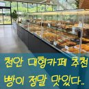 천안 성거읍 대형카페 추천 : 스틸그린베이커리 방문 후기